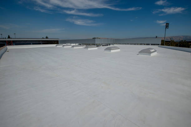 Best Rubber Roofing (EPDM, TPO)  in La Feria, TX