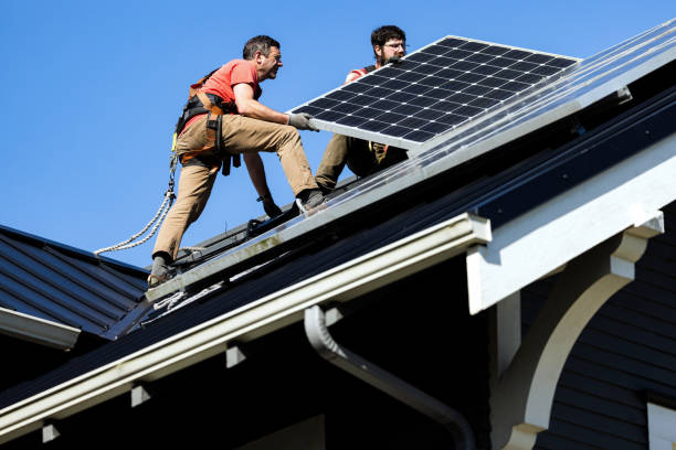 Best Chimney Flashing Repair  in La Feria, TX