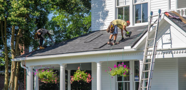 Best Roof Installation  in La Feria, TX